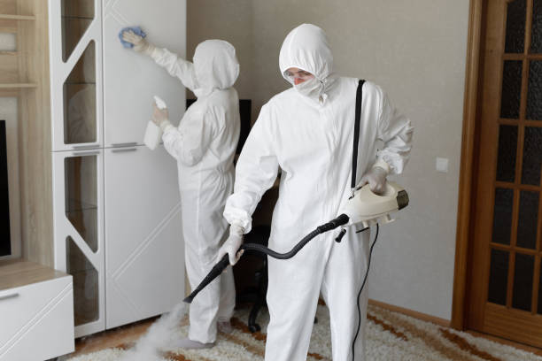 24/7 Emergency Odor Removal experts in Franklin Park, NJ
